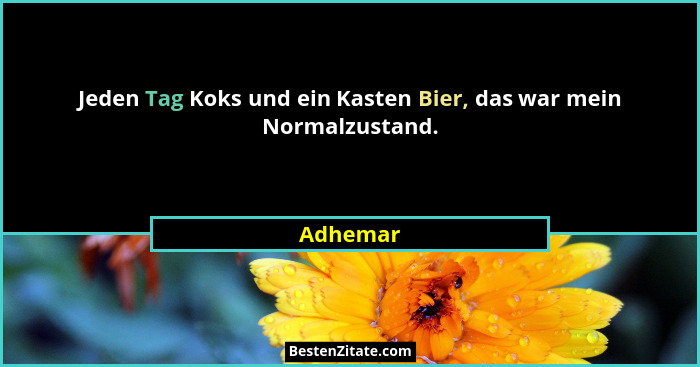 Jeden Tag Koks und ein Kasten Bier, das war mein Normalzustand.... - Adhemar