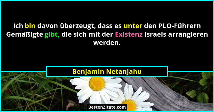 Ich bin davon überzeugt, dass es unter den PLO-Führern Gemäßigte gibt, die sich mit der Existenz Israels arrangieren werden.... - Benjamin Netanjahu