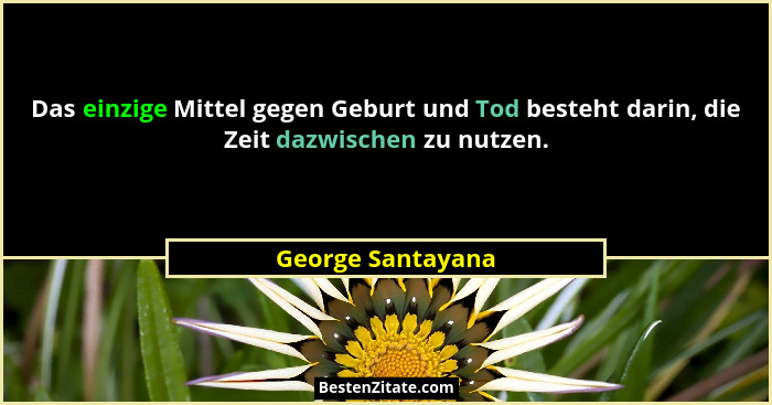 Das einzige Mittel gegen Geburt und Tod besteht darin, die Zeit dazwischen zu nutzen.... - George Santayana
