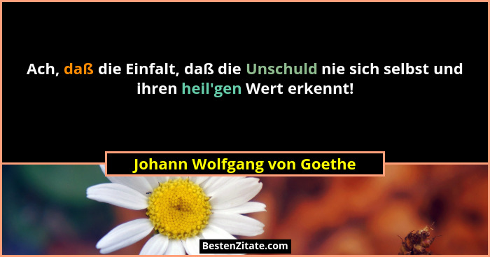 Ach, daß die Einfalt, daß die Unschuld nie sich selbst und ihren heil'gen Wert erkennt!... - Johann Wolfgang von Goethe