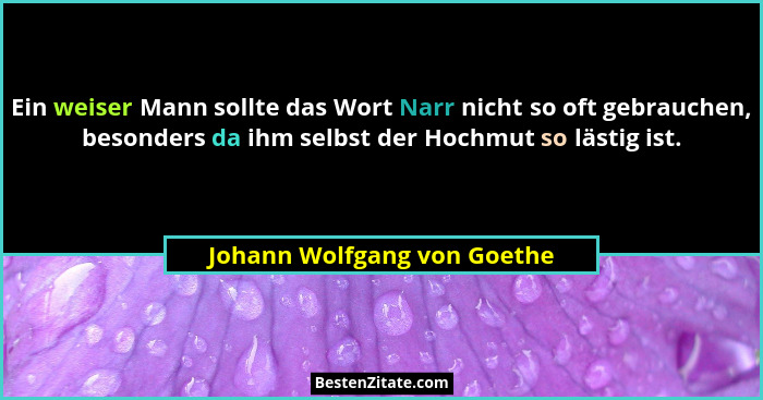 Ein weiser Mann sollte das Wort Narr nicht so oft gebrauchen, besonders da ihm selbst der Hochmut so lästig ist.... - Johann Wolfgang von Goethe