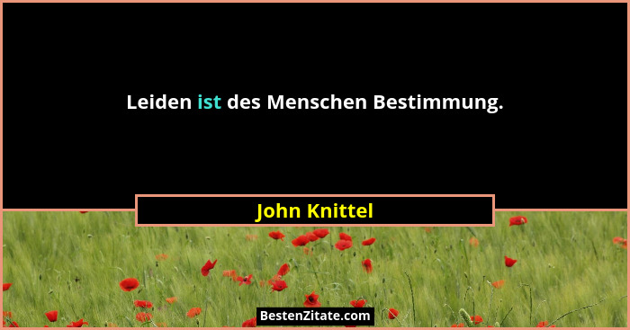 Leiden ist des Menschen Bestimmung.... - John Knittel