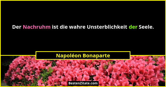 Der Nachruhm ist die wahre Unsterblichkeit der Seele.... - Napoléon Bonaparte
