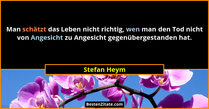 Man schätzt das Leben nicht richtig, wen man den Tod nicht von Angesicht zu Angesicht gegenübergestanden hat.... - Stefan Heym