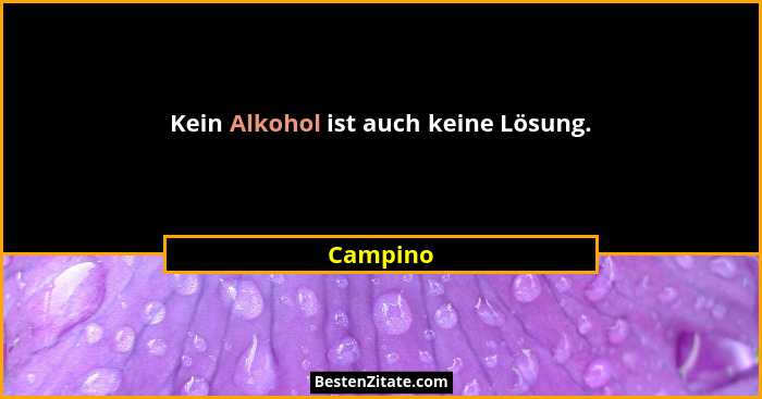 Kein Alkohol ist auch keine Lösung.... - Campino