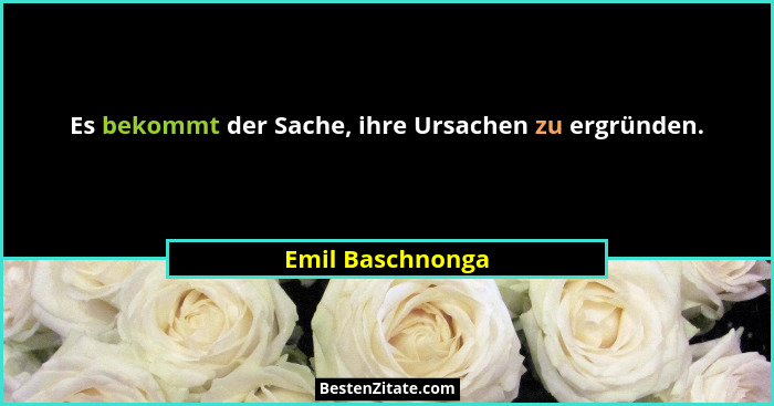 Es bekommt der Sache, ihre Ursachen zu ergründen.... - Emil Baschnonga