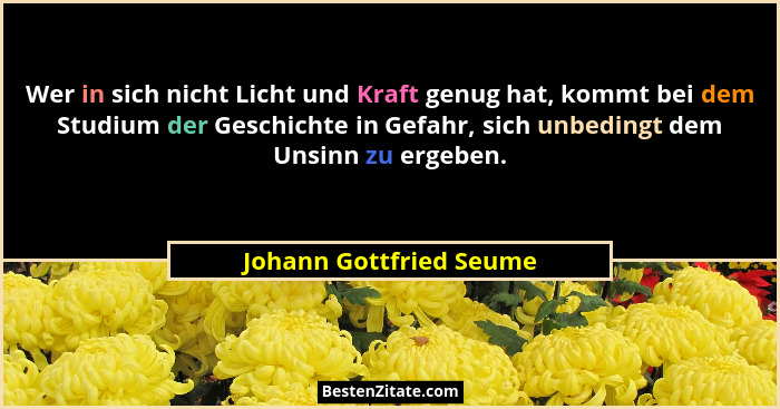 Wer in sich nicht Licht und Kraft genug hat, kommt bei dem Studium der Geschichte in Gefahr, sich unbedingt dem Unsinn zu erg... - Johann Gottfried Seume
