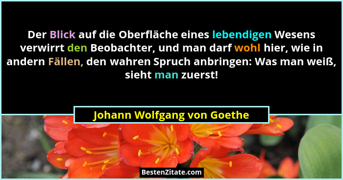 Der Blick auf die Oberfläche eines lebendigen Wesens verwirrt den Beobachter, und man darf wohl hier, wie in andern Fälle... - Johann Wolfgang von Goethe