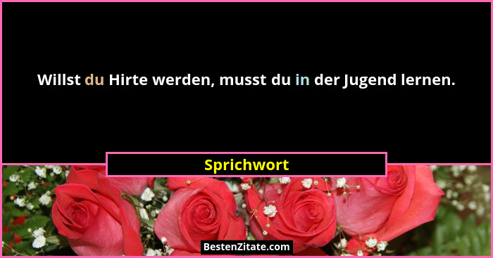 Willst du Hirte werden, musst du in der Jugend lernen.... - Sprichwort
