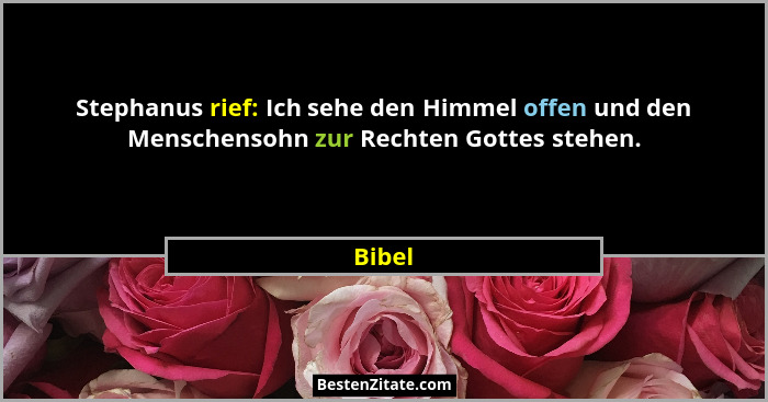 Stephanus rief: Ich sehe den Himmel offen und den Menschensohn zur Rechten Gottes stehen.... - Bibel