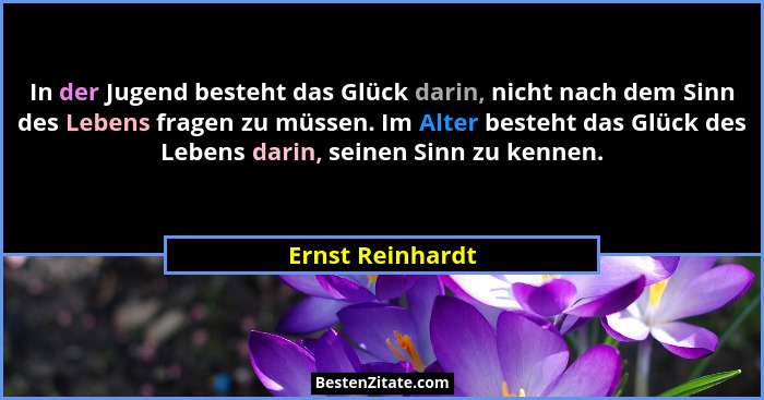 In der Jugend besteht das Glück darin, nicht nach dem Sinn des Lebens fragen zu müssen. Im Alter besteht das Glück des Lebens darin,... - Ernst Reinhardt