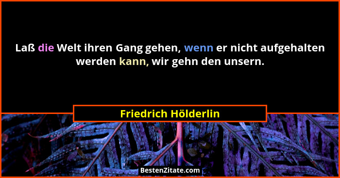 Laß die Welt ihren Gang gehen, wenn er nicht aufgehalten werden kann, wir gehn den unsern.... - Friedrich Hölderlin