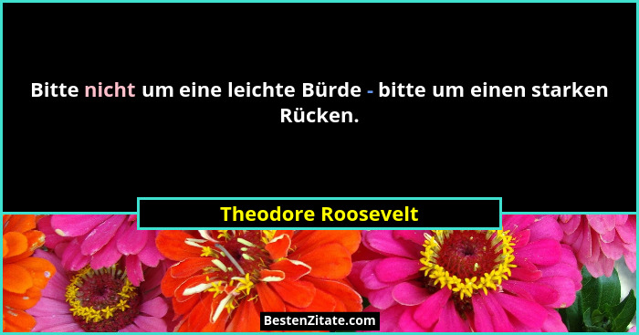 Bitte nicht um eine leichte Bürde - bitte um einen starken Rücken.... - Theodore Roosevelt