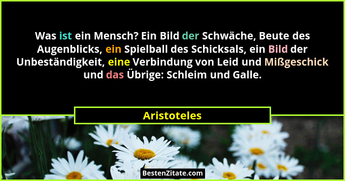 Was ist ein Mensch? Ein Bild der Schwäche, Beute des Augenblicks, ein Spielball des Schicksals, ein Bild der Unbeständigkeit, eine Verbi... - Aristoteles