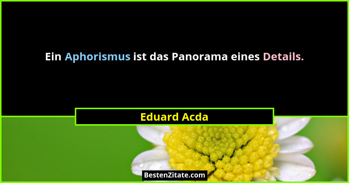 Ein Aphorismus ist das Panorama eines Details.... - Eduard Acda