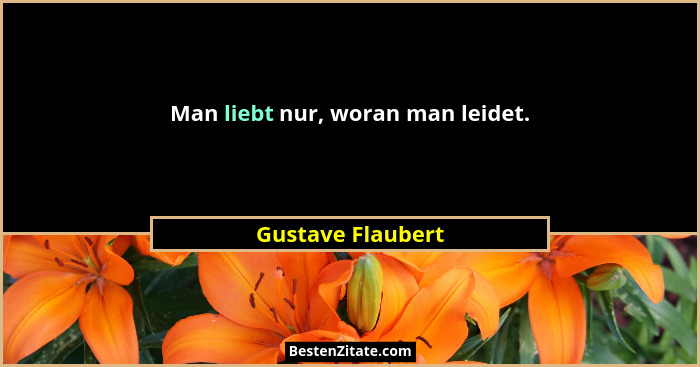 Man liebt nur, woran man leidet.... - Gustave Flaubert
