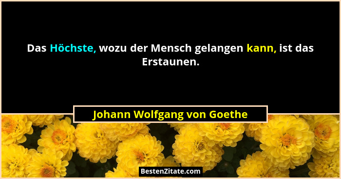 Das Höchste, wozu der Mensch gelangen kann, ist das Erstaunen.... - Johann Wolfgang von Goethe