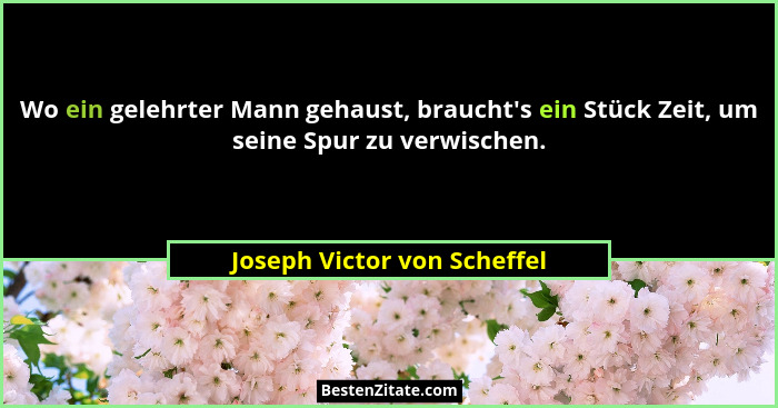 Wo ein gelehrter Mann gehaust, braucht's ein Stück Zeit, um seine Spur zu verwischen.... - Joseph Victor von Scheffel