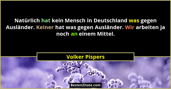 Natürlich hat kein Mensch in Deutschland was gegen Ausländer. Keiner hat was gegen Ausländer. Wir arbeiten ja noch an einem Mittel.... - Volker Pispers