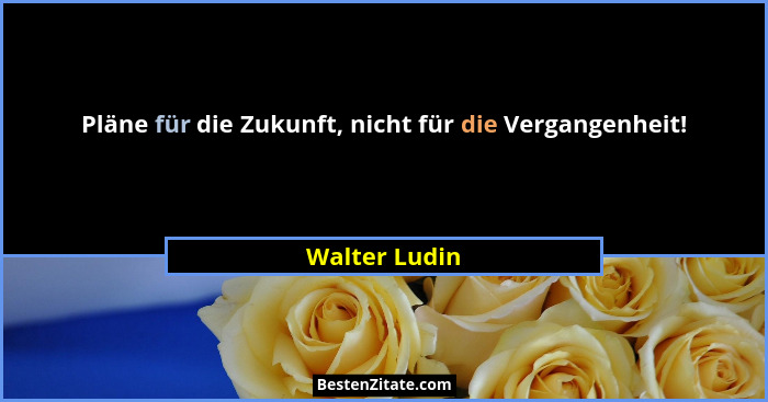 Pläne für die Zukunft, nicht für die Vergangenheit!... - Walter Ludin