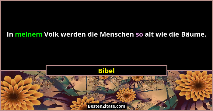 In meinem Volk werden die Menschen so alt wie die Bäume.... - Bibel