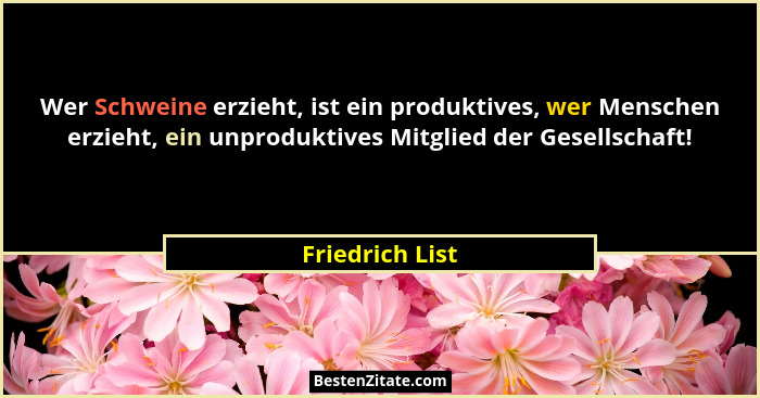Wer Schweine erzieht, ist ein produktives, wer Menschen erzieht, ein unproduktives Mitglied der Gesellschaft!... - Friedrich List