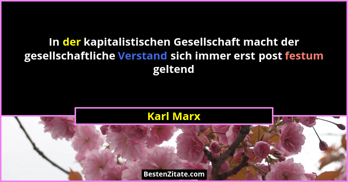 In der kapitalistischen Gesellschaft macht der gesellschaftliche Verstand sich immer erst post festum geltend... - Karl Marx