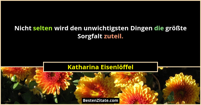 Nicht selten wird den unwichtigsten Dingen die größte Sorgfalt zuteil.... - Katharina Eisenlöffel