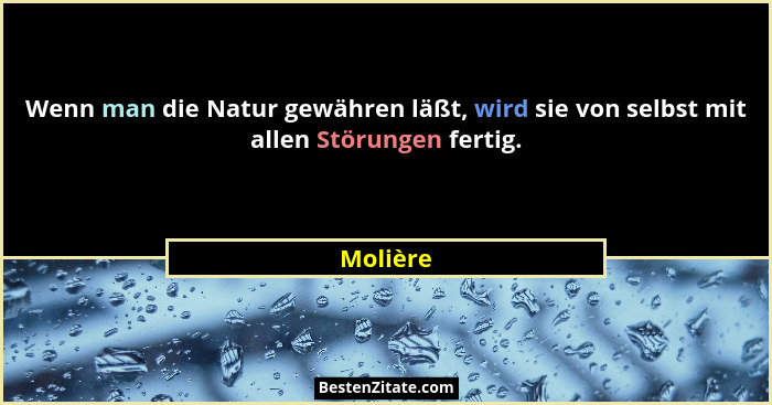 Wenn man die Natur gewähren läßt, wird sie von selbst mit allen Störungen fertig.... - Molière