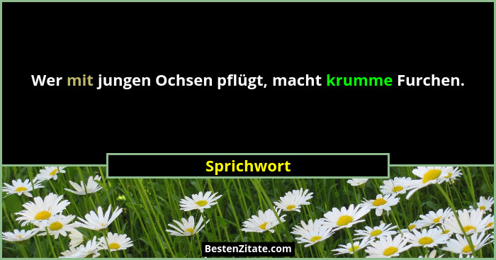 Wer mit jungen Ochsen pflügt, macht krumme Furchen.... - Sprichwort