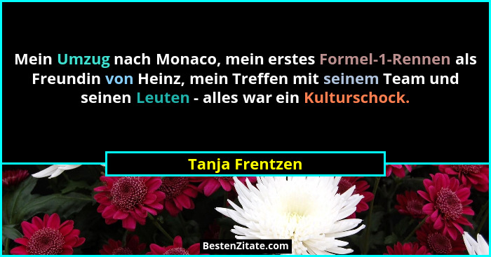 Mein Umzug nach Monaco, mein erstes Formel-1-Rennen als Freundin von Heinz, mein Treffen mit seinem Team und seinen Leuten - alles wa... - Tanja Frentzen
