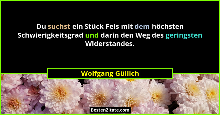 Du suchst ein Stück Fels mit dem höchsten Schwierigkeitsgrad und darin den Weg des geringsten Widerstandes.... - Wolfgang Güllich