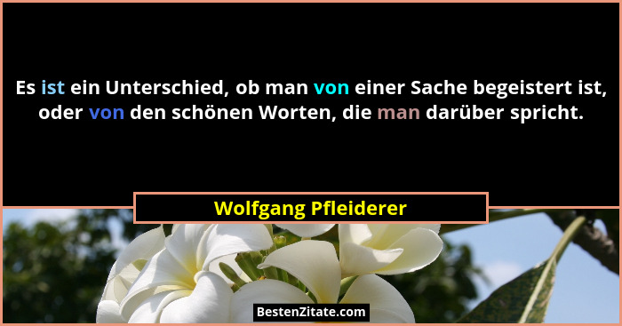 Es ist ein Unterschied, ob man von einer Sache begeistert ist, oder von den schönen Worten, die man darüber spricht.... - Wolfgang Pfleiderer