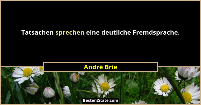 Tatsachen sprechen eine deutliche Fremdsprache.... - André Brie