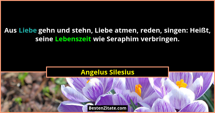 Aus Liebe gehn und stehn, Liebe atmen, reden, singen: Heißt, seine Lebenszeit wie Seraphim verbringen.... - Angelus Silesius