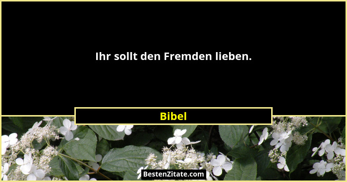 Ihr sollt den Fremden lieben.... - Bibel