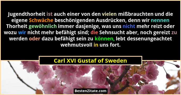 Jugendthorheit ist auch einer von den vielen mißbrauchten und die eigene Schwäche beschönigenden Ausdrücken, denn wir nenn... - Carl XVI Gustaf of Sweden