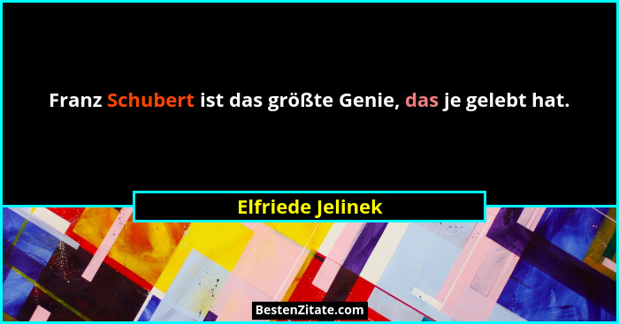Franz Schubert ist das größte Genie, das je gelebt hat.... - Elfriede Jelinek