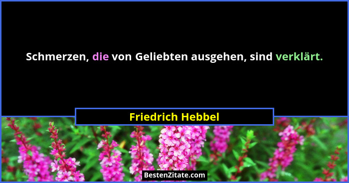 Schmerzen, die von Geliebten ausgehen, sind verklärt.... - Friedrich Hebbel