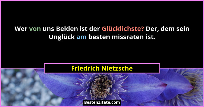 Wer von uns Beiden ist der Glücklichste? Der, dem sein Unglück am besten missraten ist.... - Friedrich Nietzsche