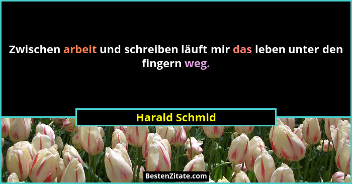 Zwischen arbeit und schreiben läuft mir das leben unter den fingern weg.... - Harald Schmid