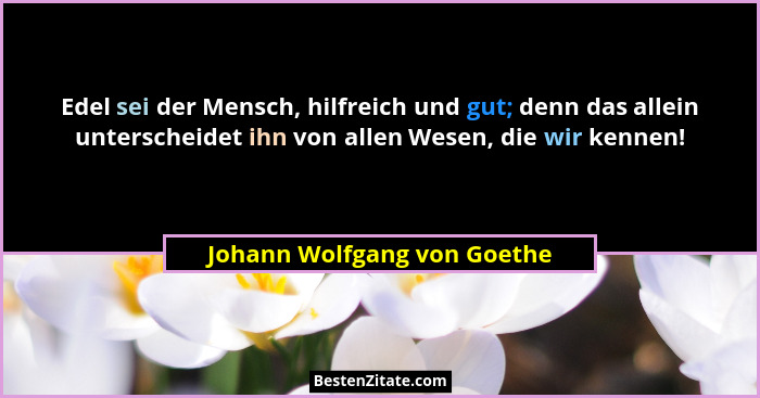 Edel sei der Mensch, hilfreich und gut; denn das allein unterscheidet ihn von allen Wesen, die wir kennen!... - Johann Wolfgang von Goethe
