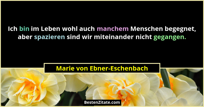 Ich bin im Leben wohl auch manchem Menschen begegnet, aber spazieren sind wir miteinander nicht gegangen.... - Marie von Ebner-Eschenbach
