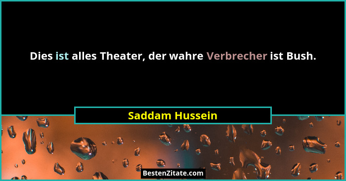 Dies ist alles Theater, der wahre Verbrecher ist Bush.... - Saddam Hussein