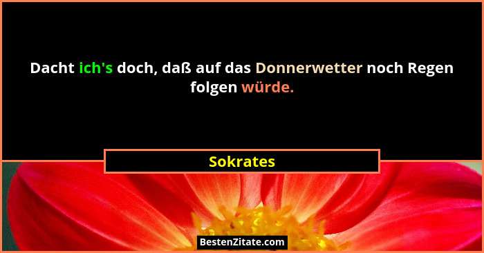 Dacht ich's doch, daß auf das Donnerwetter noch Regen folgen würde.... - Sokrates