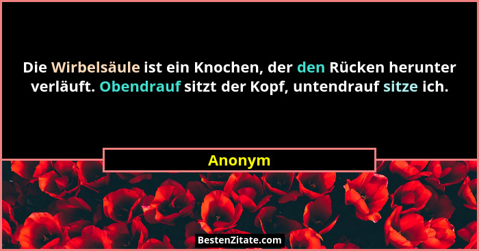 Die Wirbelsäule ist ein Knochen, der den Rücken herunter verläuft. Obendrauf sitzt der Kopf, untendrauf sitze ich.... - Anonym