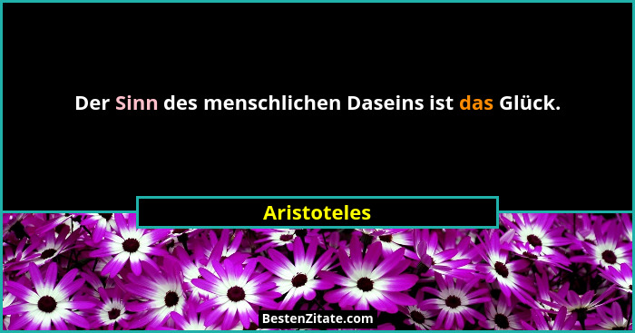 Der Sinn des menschlichen Daseins ist das Glück.... - Aristoteles