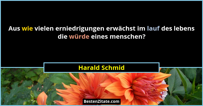 Aus wie vielen erniedrigungen erwächst im lauf des lebens die würde eines menschen?... - Harald Schmid