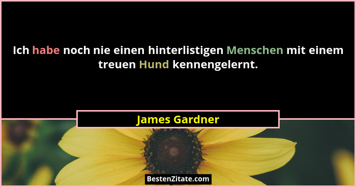 Ich habe noch nie einen hinterlistigen Menschen mit einem treuen Hund kennengelernt.... - James Gardner
