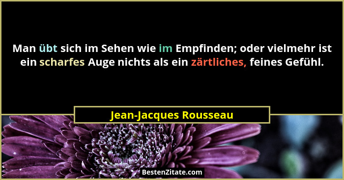 Man übt sich im Sehen wie im Empfinden; oder vielmehr ist ein scharfes Auge nichts als ein zärtliches, feines Gefühl.... - Jean-Jacques Rousseau